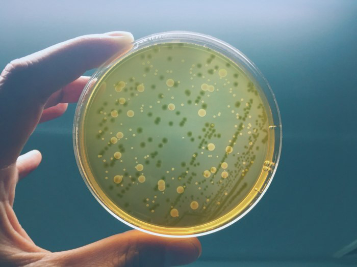 1690184151552715.jpg 1690184151552715.jpg