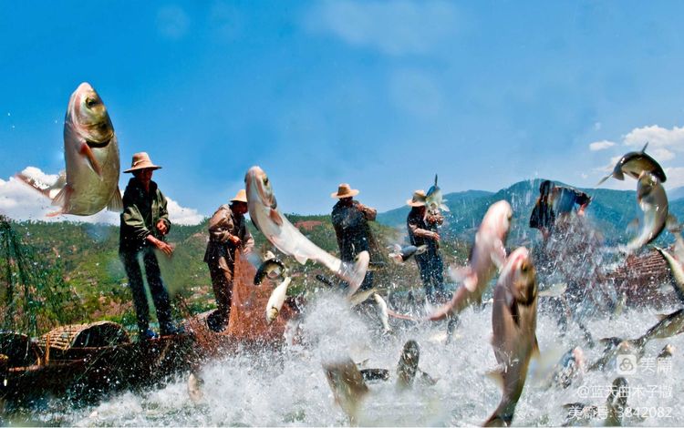 水产养殖丰收.jpg 水产养殖丰收.jpg